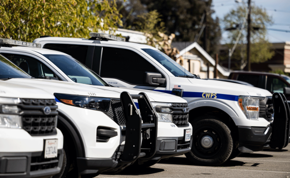 City Wide marked patrol trucks and SUVs lined up ready to respond